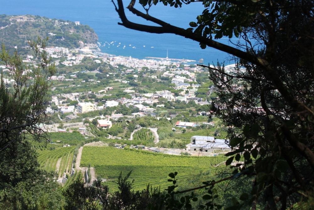 Hotel Regina Palace Terme Ischia Eksteriør billede